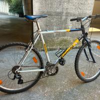 Bici Bianchi 750RS