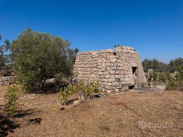 Terreno agricolo nel Salento