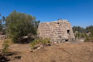 Terreno agricolo nel Salento