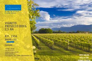 Vigneto 2,5 Ha DOCG a Maser (TV) Rif. 2356