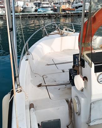 Pilotina fiart 6.3 mt open 