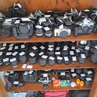 Fotografia collezione al 18 aprile 2025