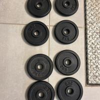 8 pesi da 2 kg
