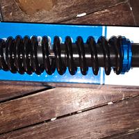 Minarelli Polini Evolution Malossi mhr team 