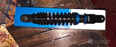 Minarelli Polini Evolution Malossi mhr team 