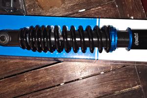 Minarelli Polini Evolution Malossi mhr team 