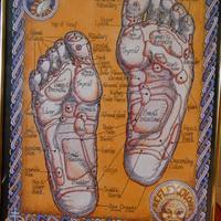 Stampa riflessologia plantare + omaggio