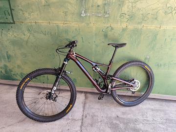 Specialized stumpjumper evo