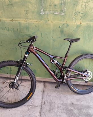 Specialized stumpjumper evo