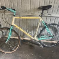 BICI MTB CINELLI RAMPICHINO