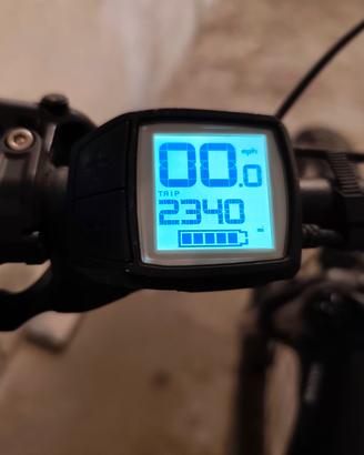 E-bike Whistle b rusch 4.2 carbon