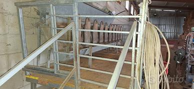 Cancelletti per mungitrice