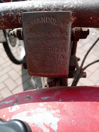 Guzzino b