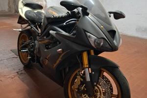 Daytona Triumph 675