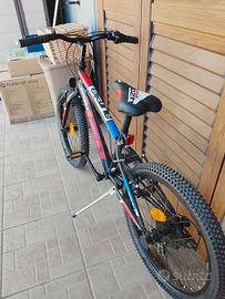 Bicicletta per bambino