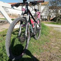 MTB Bianchi 29
