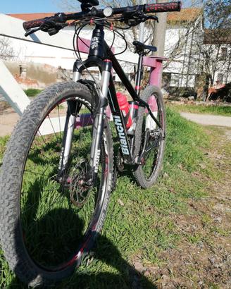MTB Bianchi 29