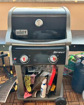 Barbecue weber spirit