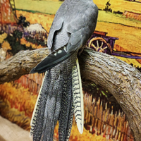 Calopsite allevata a mano