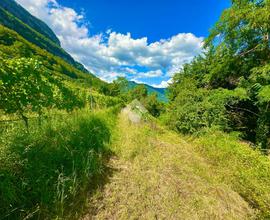 TER. AGRICOLO A VILLA LAGARINA
