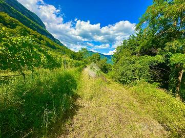 TER. AGRICOLO A VILLA LAGARINA