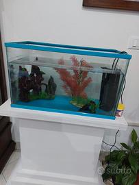 Acquario con accessori