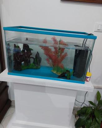 Acquario con accessori