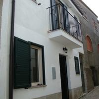 Tropea in campagna 1 - orchidea