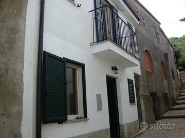 Tropea in campagna 1 - orchidea