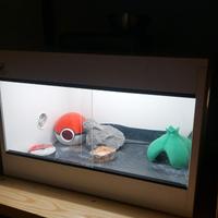 Geca femmina di 3 anni piú terrario