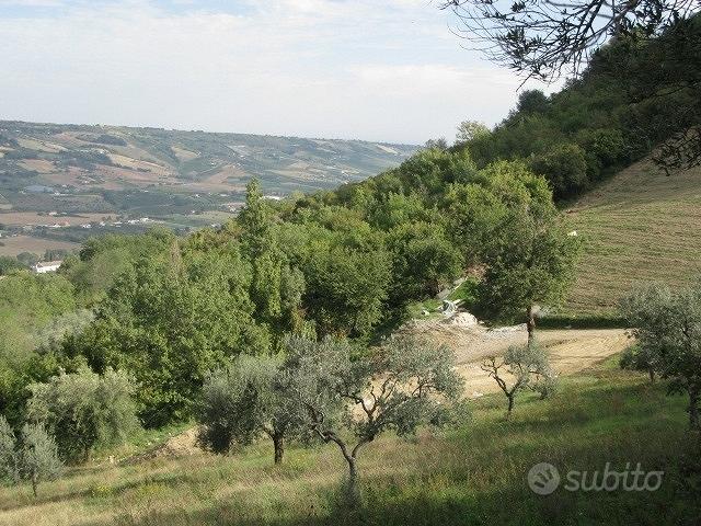 Casale / Rustico - Montefiore dell'Aso - Vista 4