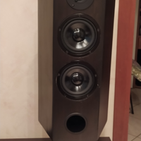 Casse acustiche esagonali visaton 2 vie