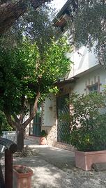 Appartamento semi indipendente