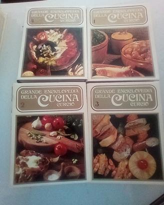 n. 4 volume grande Enciclopedia della cucina inter