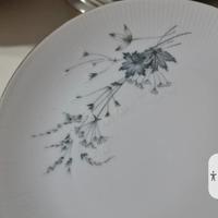piatti porcellana