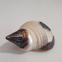 conchiglia di madreperla con decorazione in metall