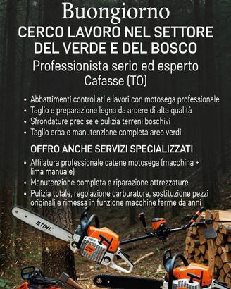 Stihl ms 500 i simile alla Husqvarna 550 xp mk2