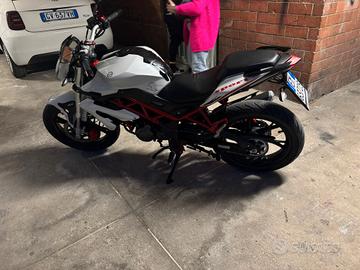 benelli 125