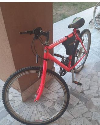 Bicicletta Mountain bike Trubbiani ruote da 26