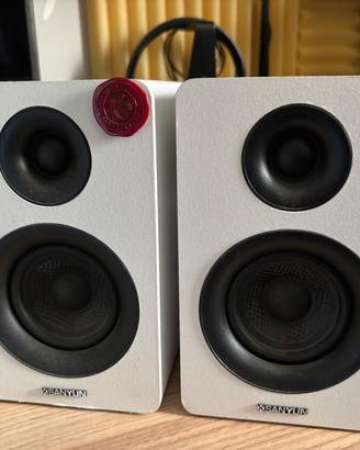 Casse Sanyun SW208 60W