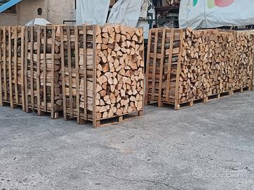 legna di faggio  stagionata 