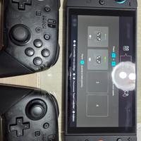 2 Controller Nintendo Switch Pro