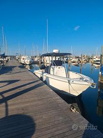 Boston Whaler 240 outrage