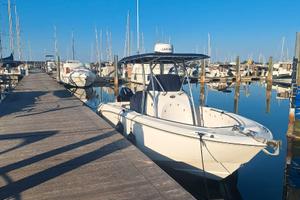 Boston Whaler 240 outrage