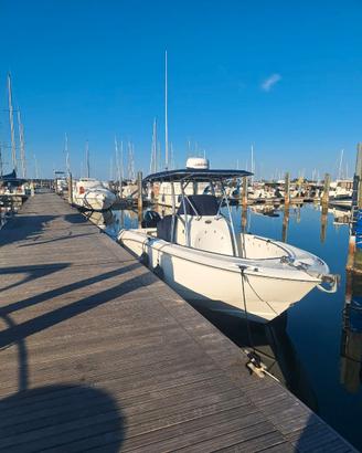 Boston Whaler 240 outrage