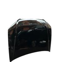 Cofano anteriore Audi a4 b7 sw 2000 tdi 140 cv 200