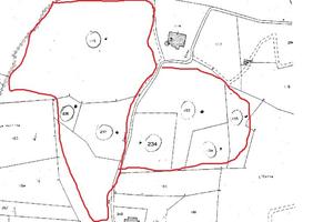 Terreno agricolo Sant'Ermo - Casciana Terme