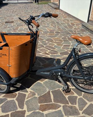 Bicicletta cargo Babboe Curve elettrica