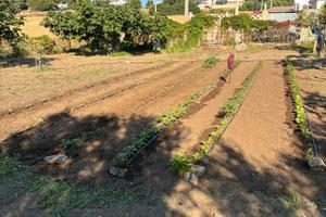 Terreno agricolo a 400 mt dal mare