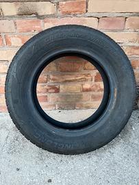 gomme invernali